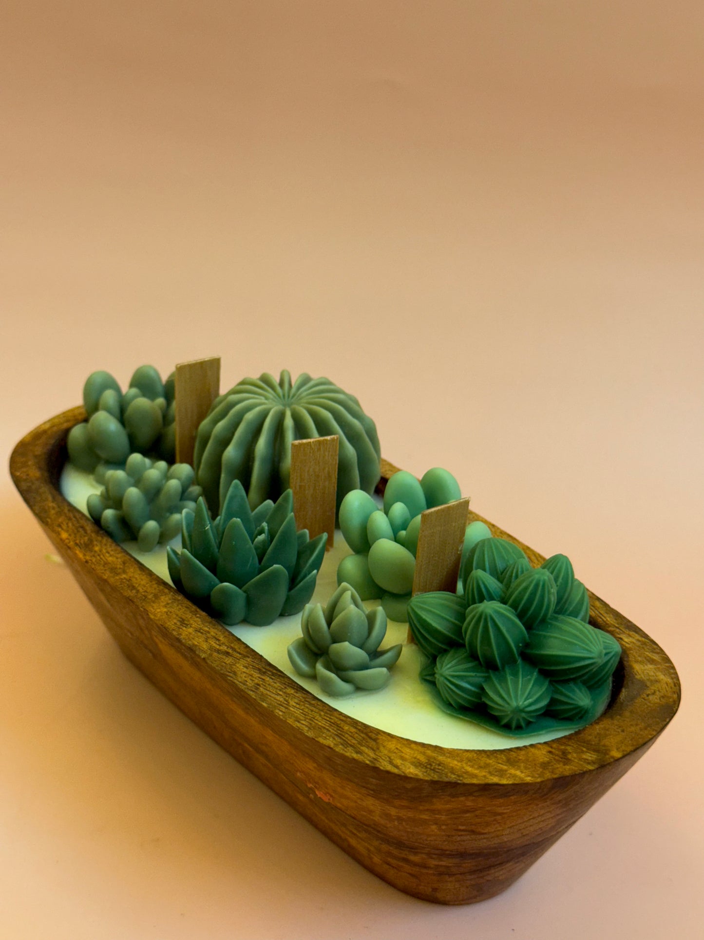 Succulent Boat