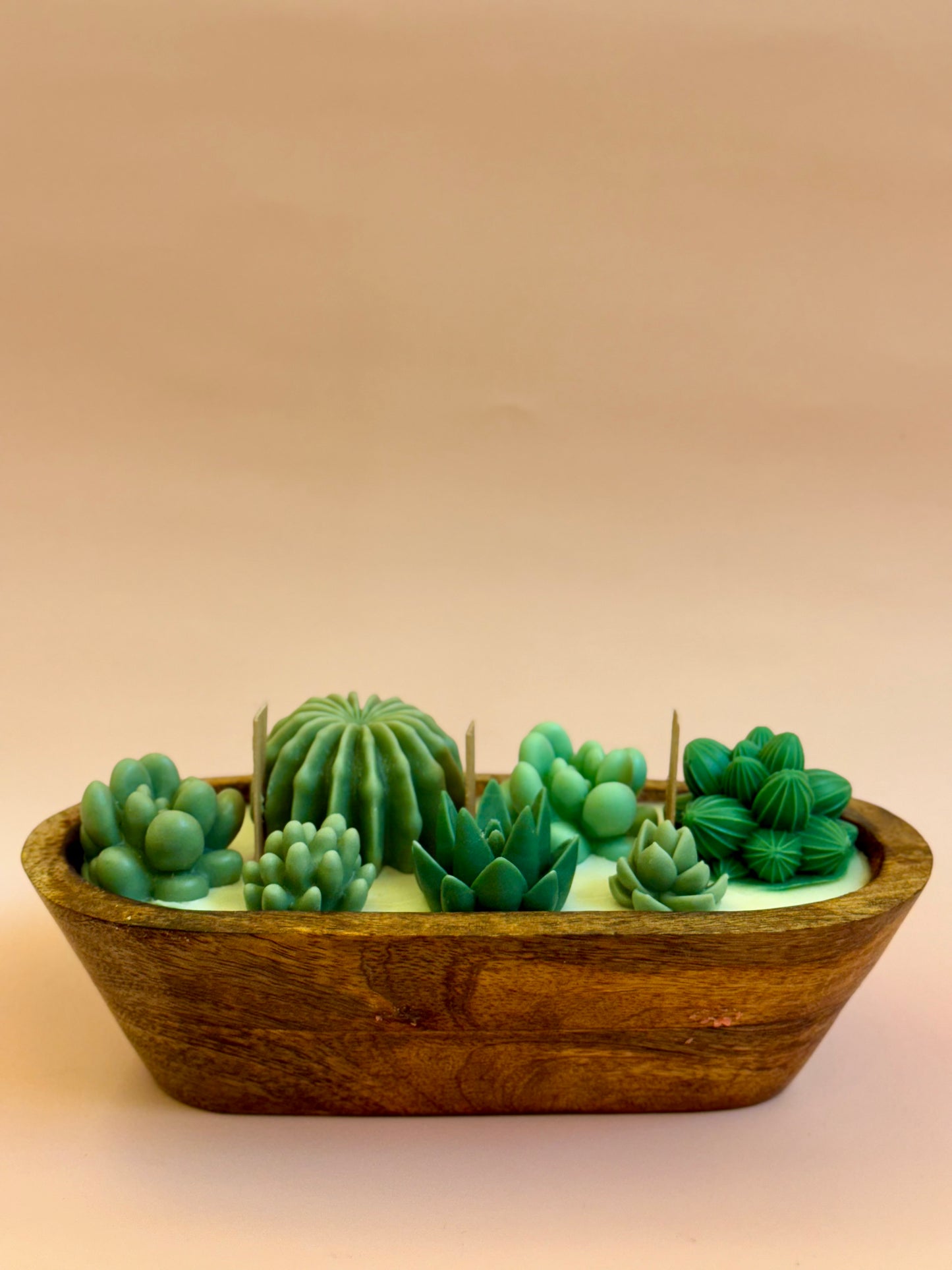 Succulent Boat