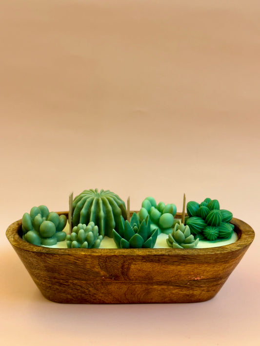 Succulent Boat