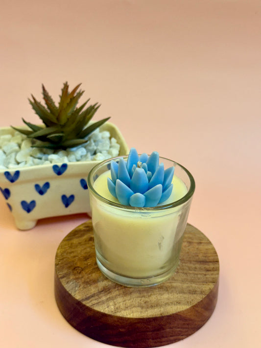 Mini Succulent Jars