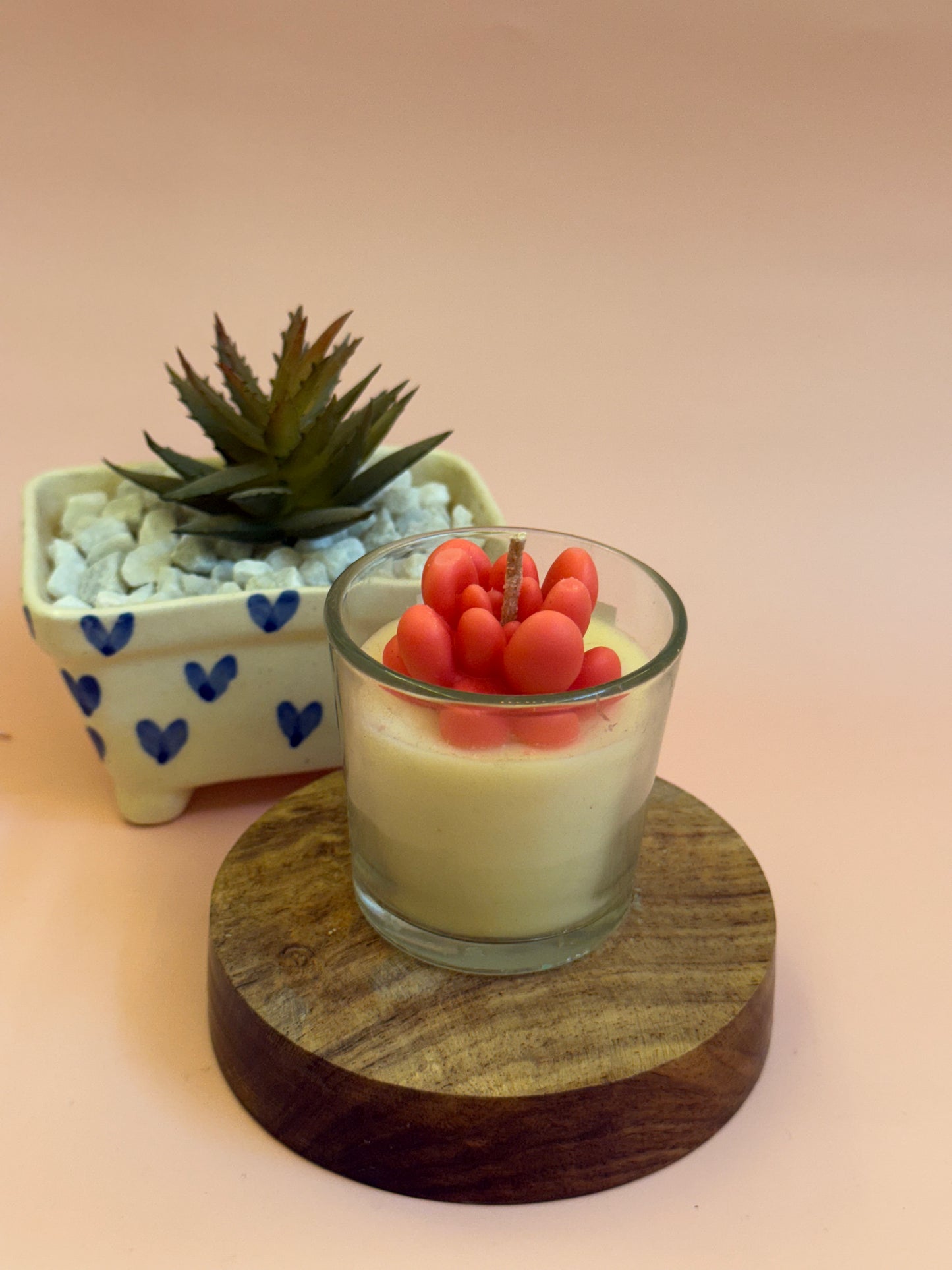 Mini Succulent Jars