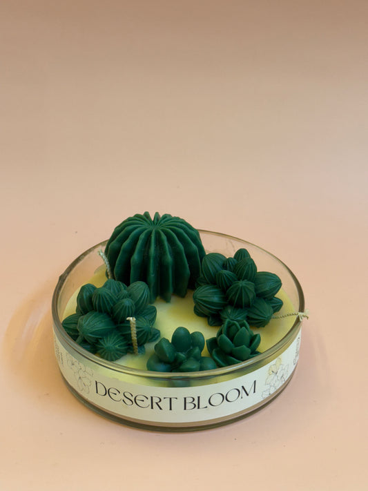 Succulent Bowl Jar Candle
