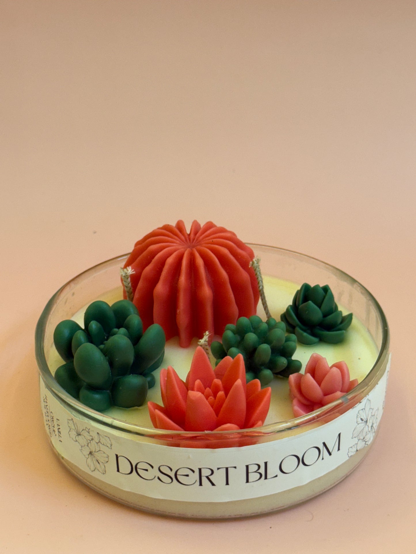 Succulent Bowl Jar Candle